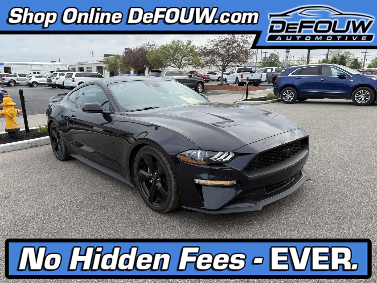 Used 2023 Ford Mustang Coupe w/ Mustang Nite Pony Package RWD image 1