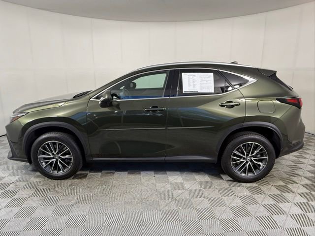 Used 2022 Lexus NX 250 FWD w/ Cold Area Package image 3
