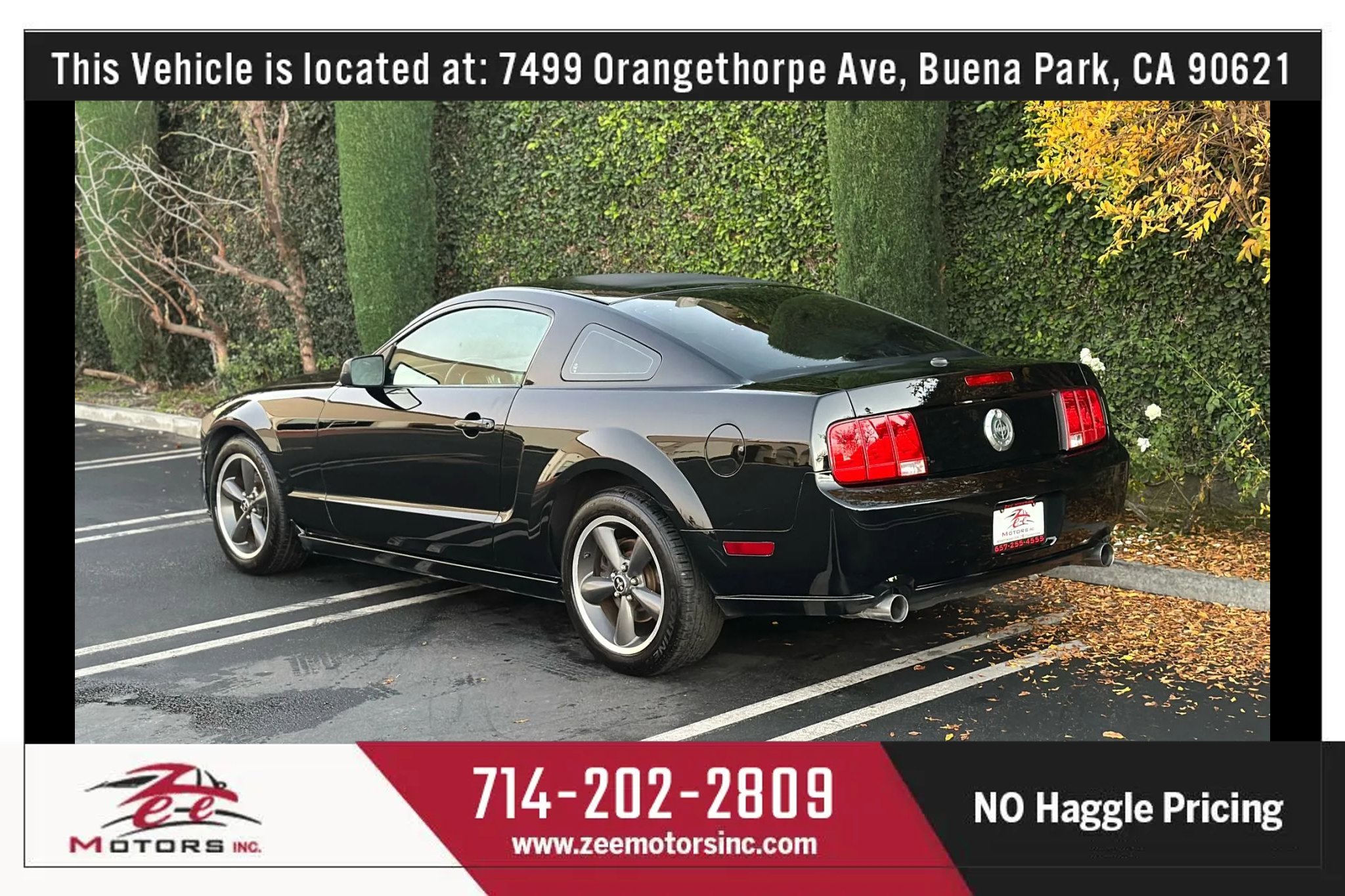 Used 2009 Ford Mustang GT Premium image 9