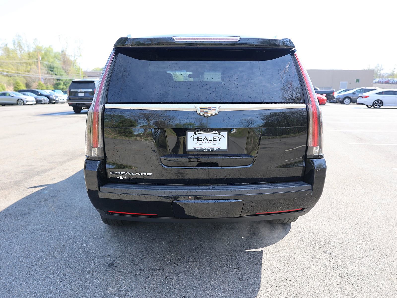 Used 2017 Cadillac Escalade Premium Luxury AWD/4WD image 6