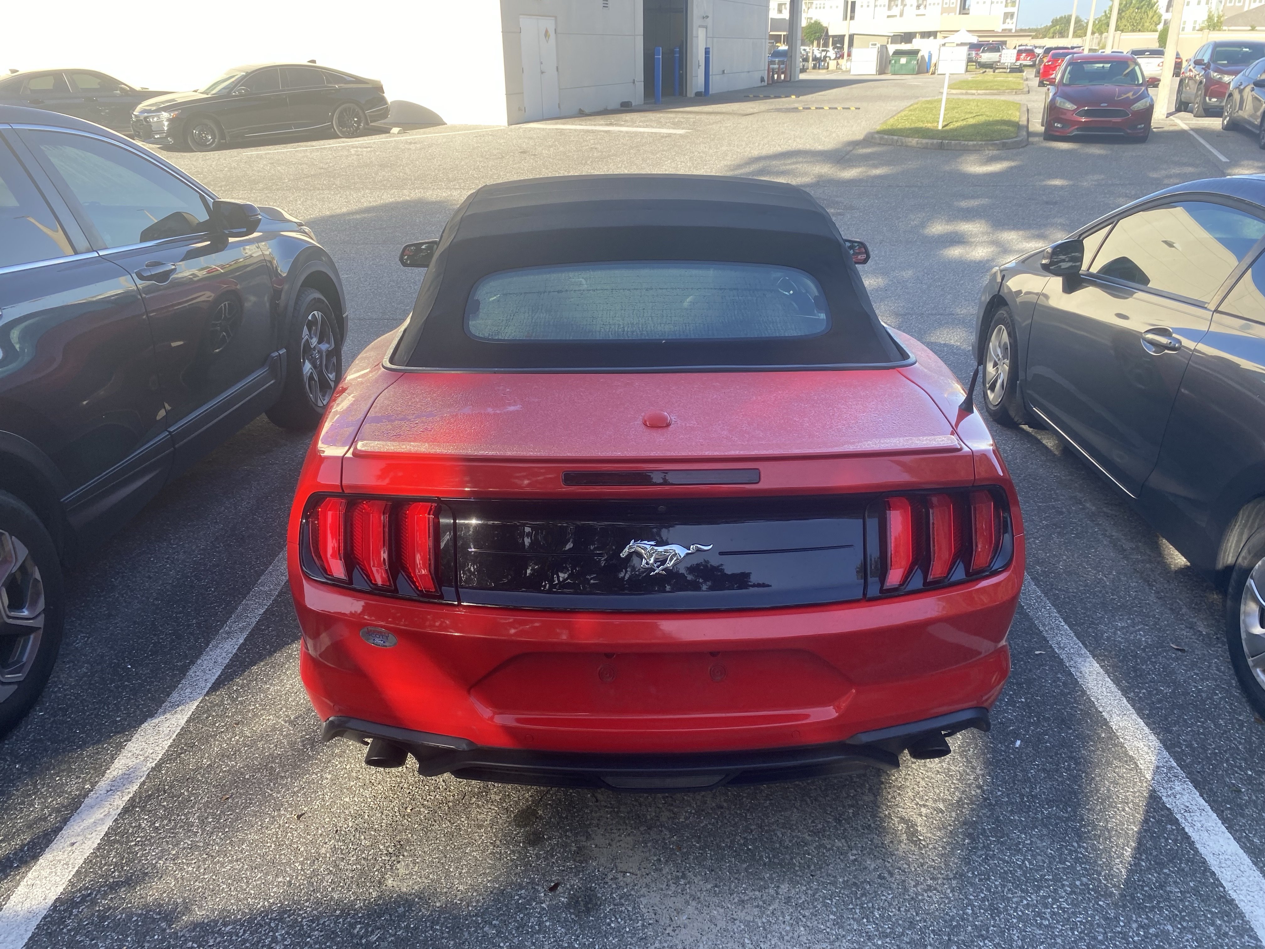 Used 2018 Ford Mustang Premium w/ Equipment Group 201A RWD image 9