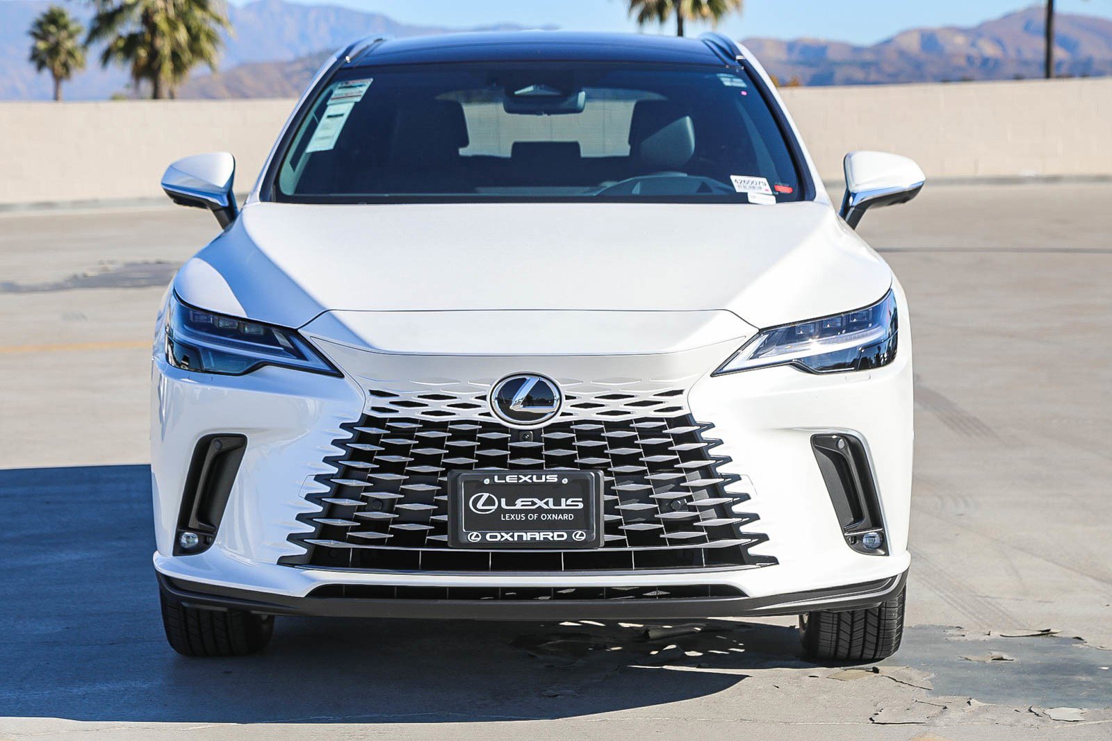 New 2026 Lexus RX 450h 450h+ Luxury image 2