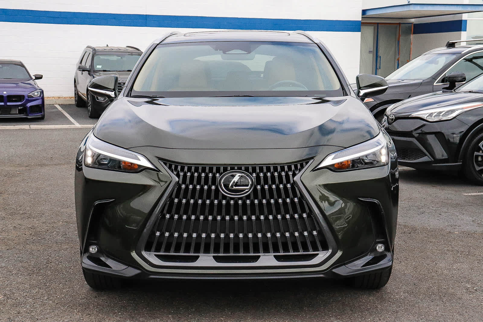 Used 2024 Lexus NX 350 AWD w/ Cold Area Package image 2