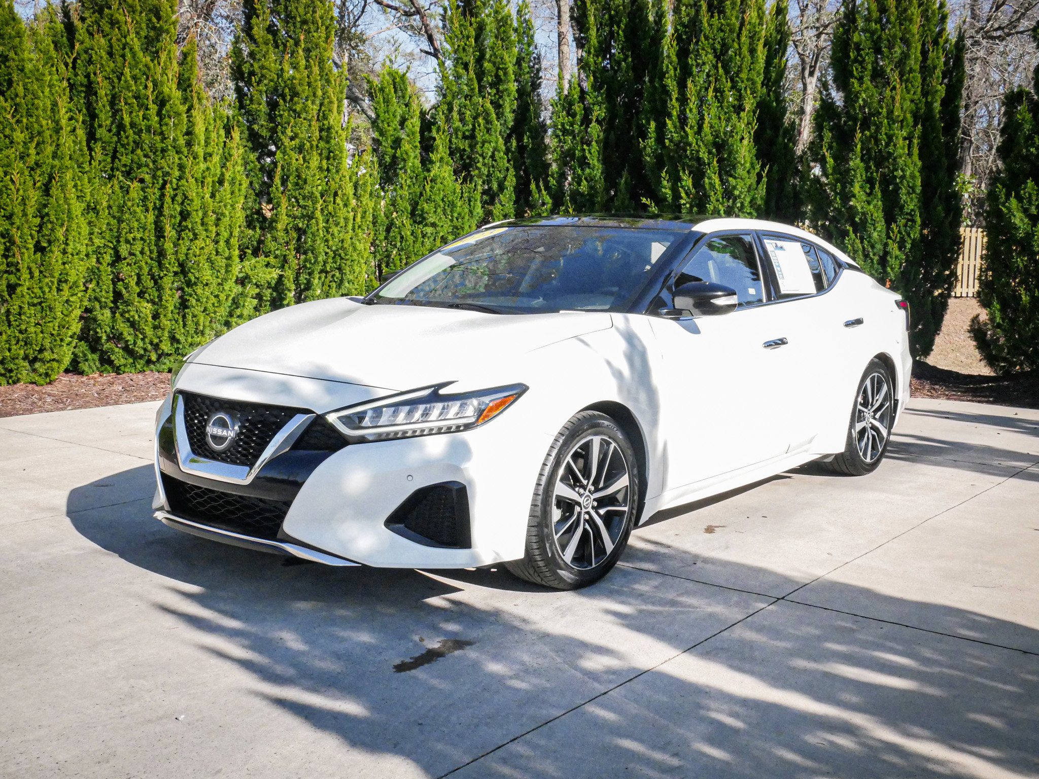 Used 2023 Nissan Maxima SL FWD image 5