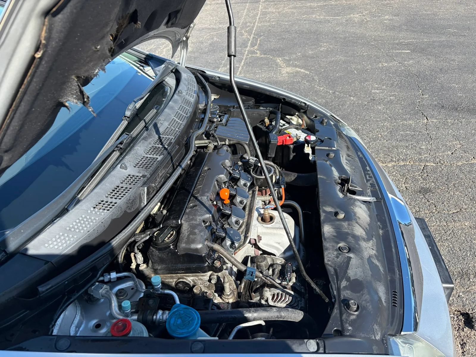 Used 2010 Honda Civic EX-L image 11