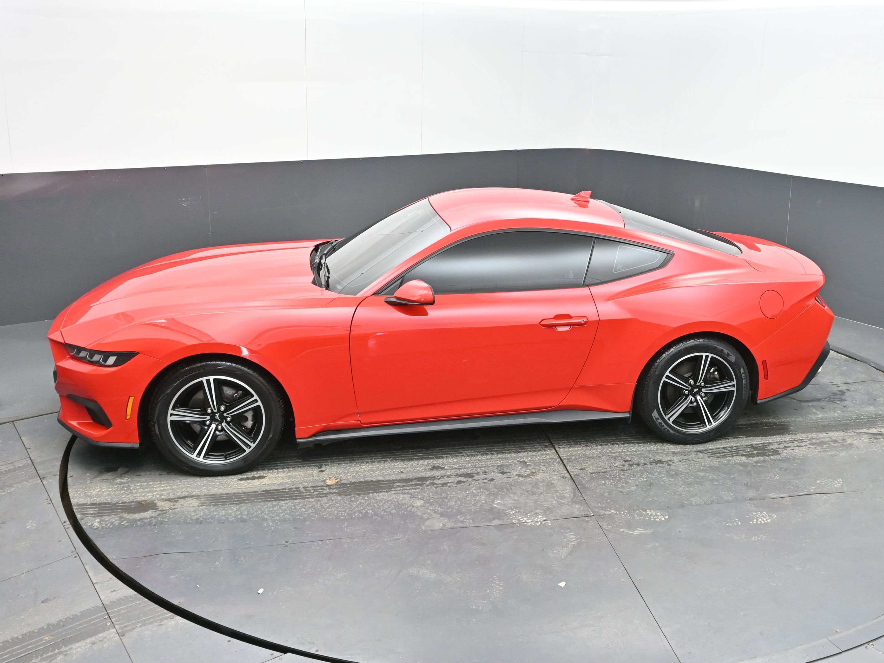 Used 2024 Ford Mustang EcoBoost image 29