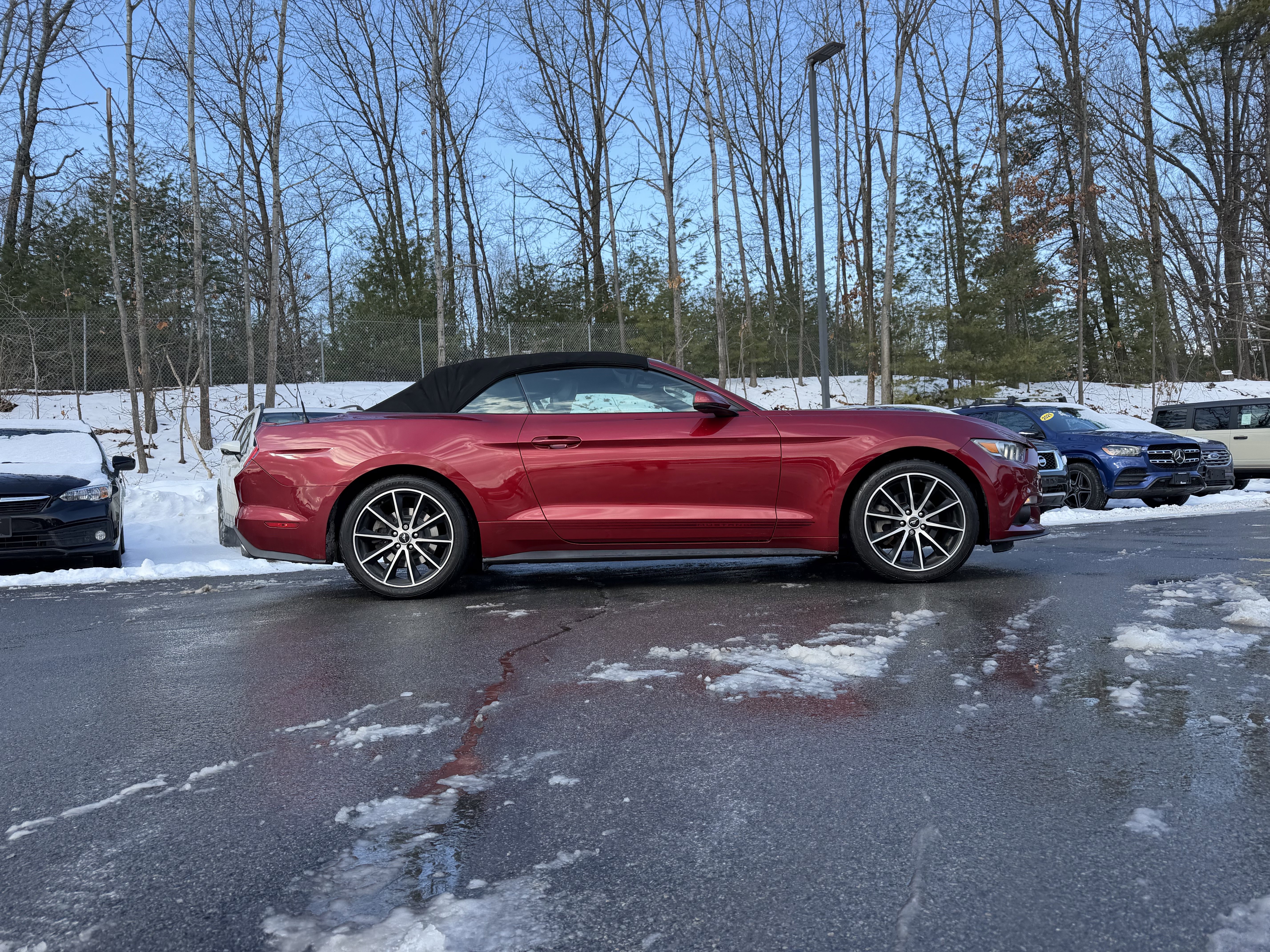 Used 2017 Ford Mustang Premium w/ Wheel & Stripe Package image 13