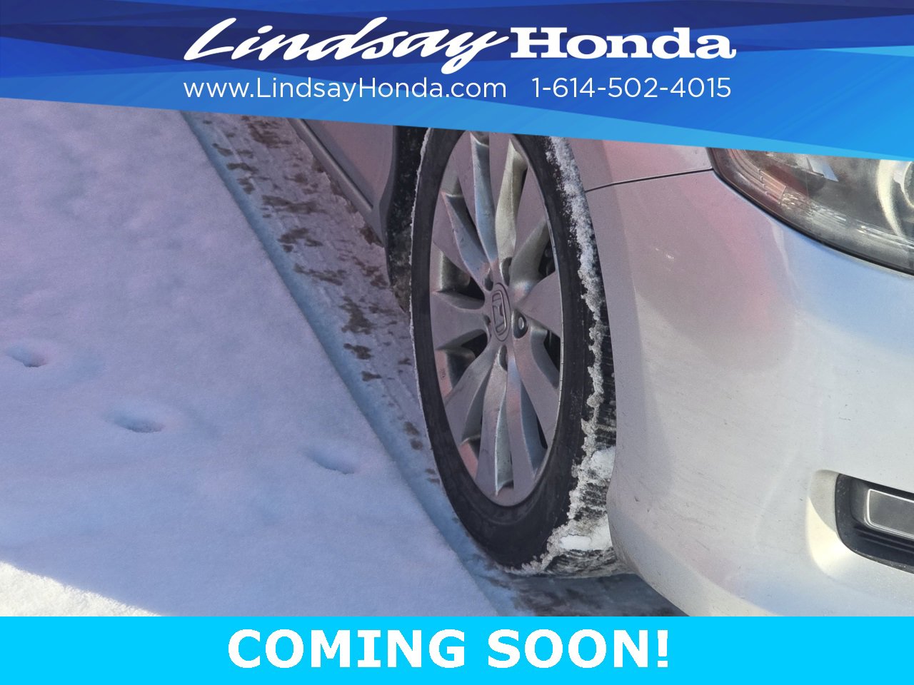 Used 2013 Honda Accord EX-L image 5