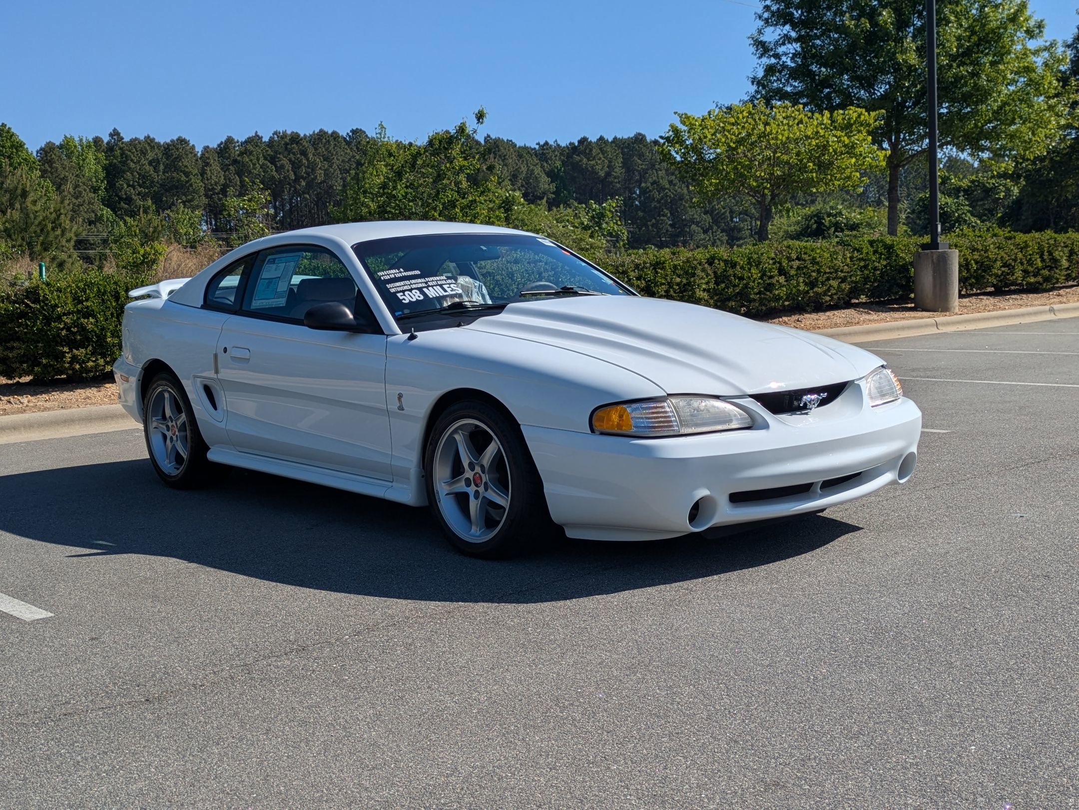 Used 1995 Ford Mustang Cobra R image 1