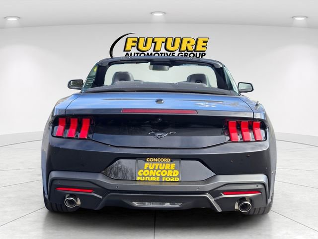 New 2026 Ford Mustang Convertible w/ Mustang Nite Pony Package image 4