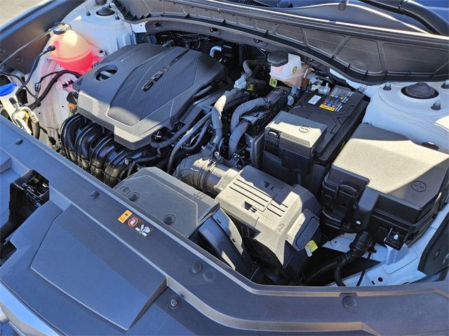 Used 2022 Hyundai Santa Cruz SEL w/ Activity Package image 15