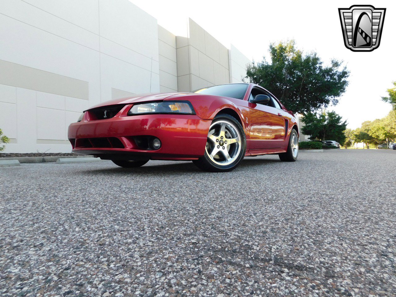 Used 2001 Ford Mustang Cobra image 8