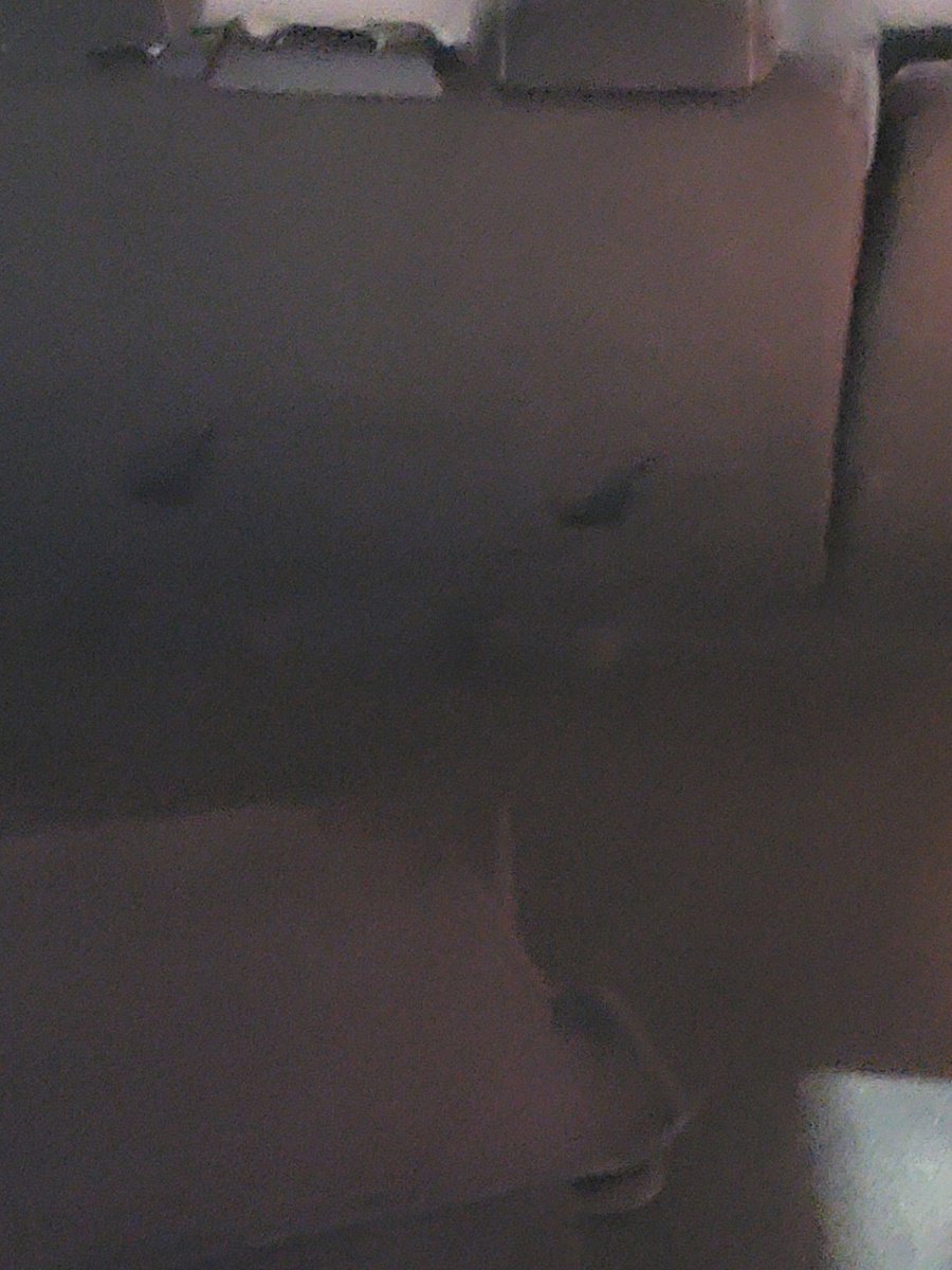 Used 2018 Ford Escape SE image 6