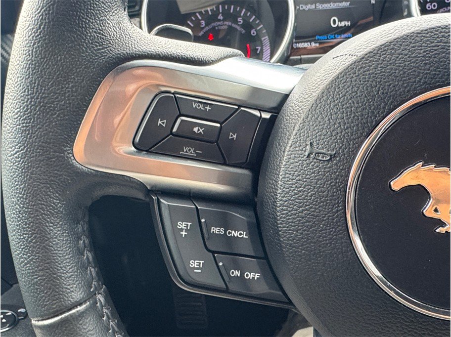 Used 2019 Ford Mustang Coupe RWD image 13