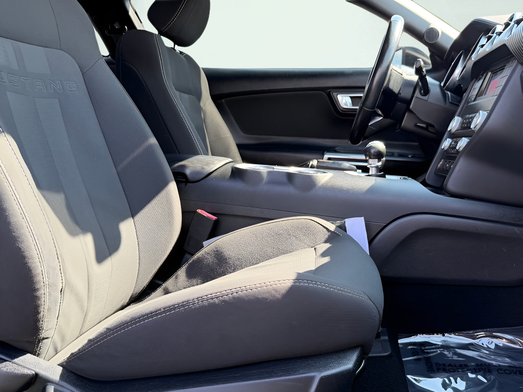 Used 2019 Ford Mustang Coupe RWD image 24