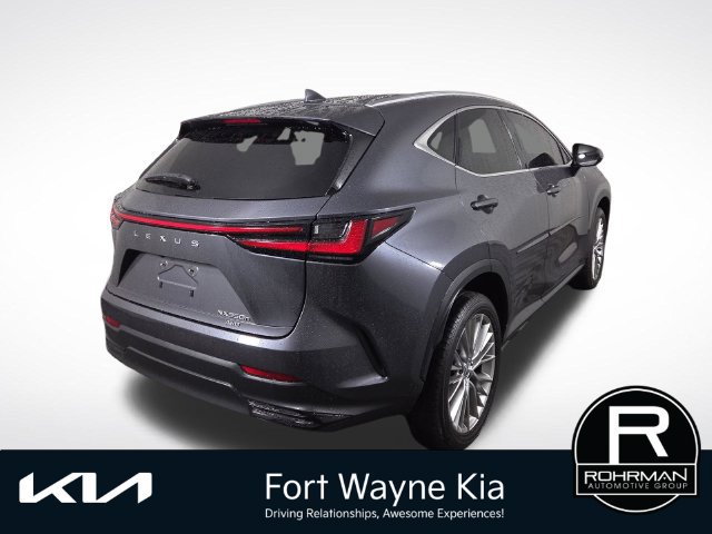 Used 2025 Lexus NX 350h AWD w/ Cold Area Package image 8