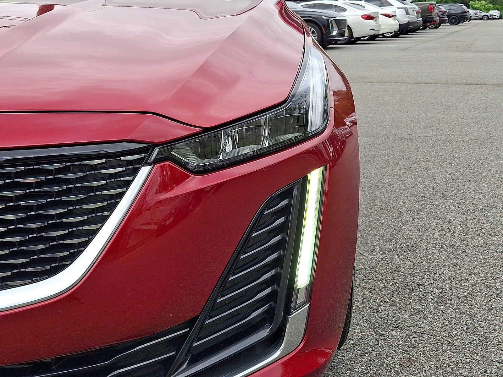 Certified 2024 Cadillac CT5 Luxury w/ Sun And Sound Package AWD/4WD image 8