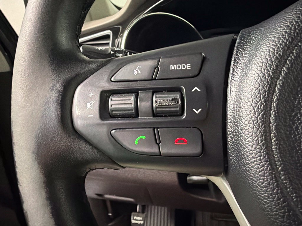 Used 2016 Kia Sedona SX Limited FWD image 14