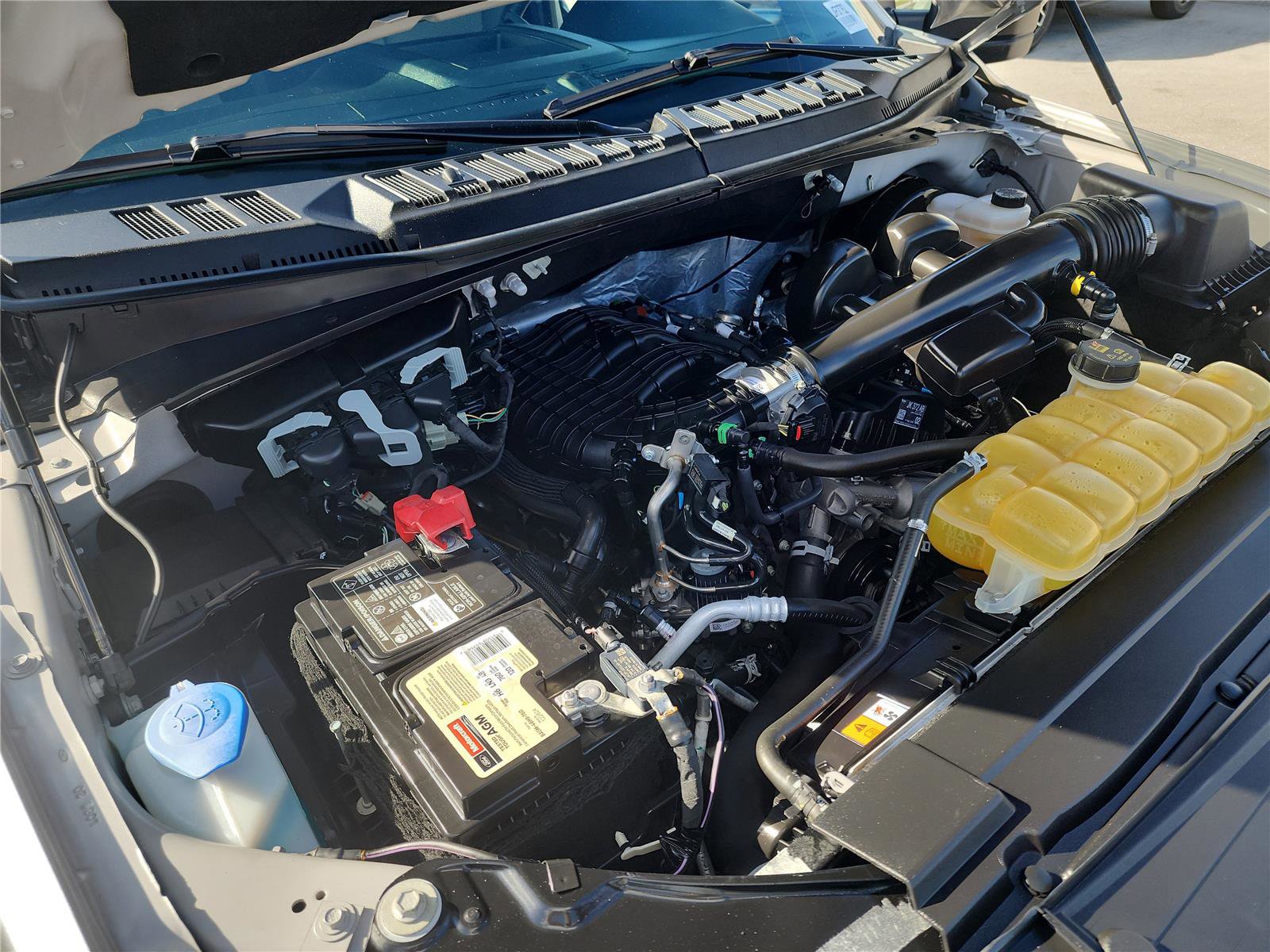 Used 2020 Ford F150 XLT w/ Equipment Group 301A Mid image 14