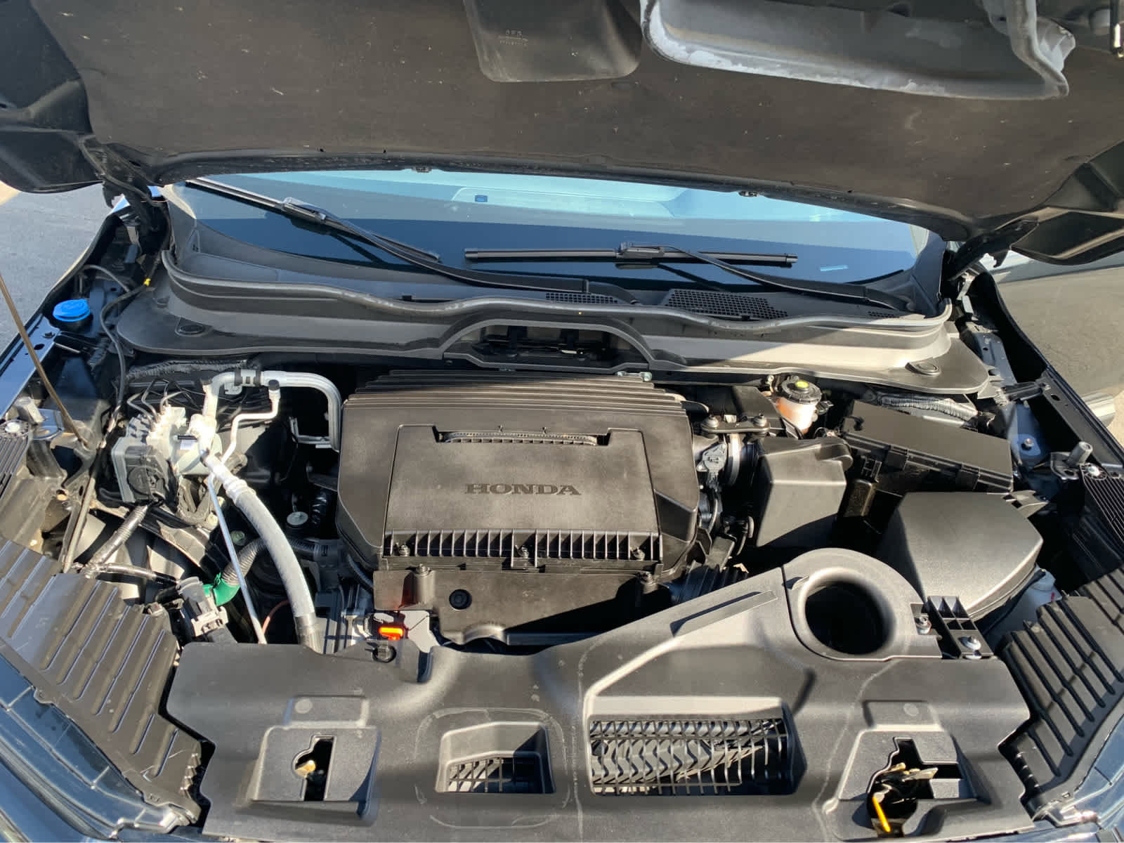 Used 2023 Honda Pilot TrailSport image 9