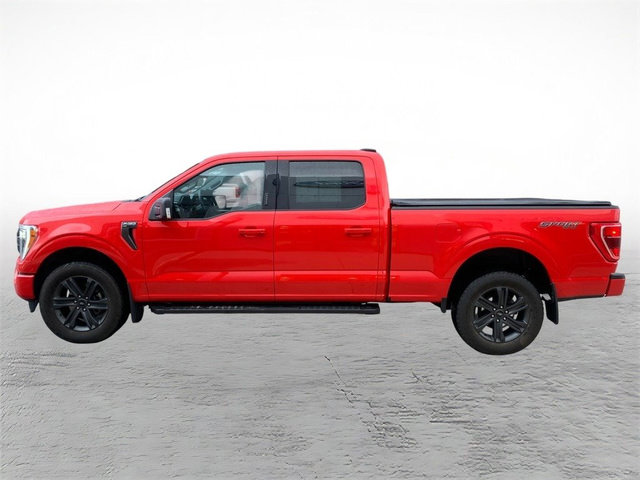 Used 2023 Ford F150 XLT w/ Equipment Group 302A High image 5