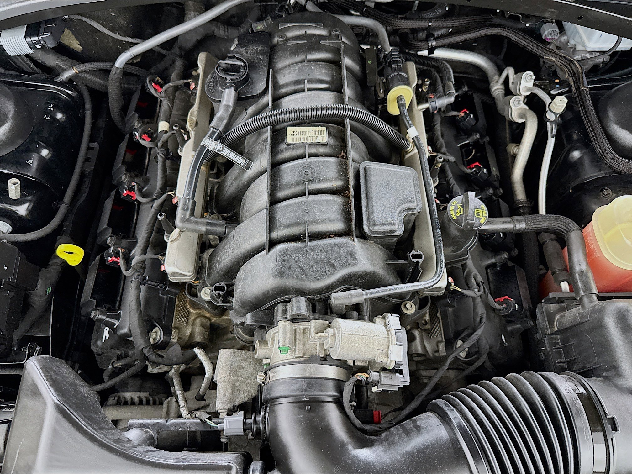 Used 2018 Dodge Challenger R/T w/ Driver Convenience Group image 34