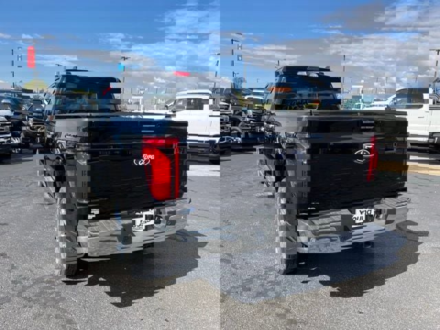 New 2024 Ford F150 XLT w/ Equipment Group 303A High image 64