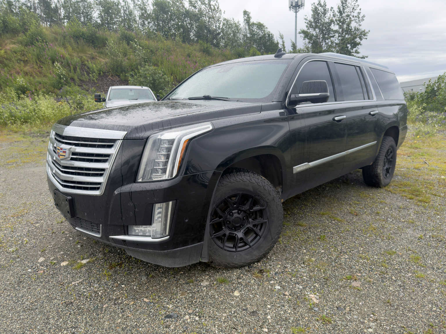 Used 2020 Cadillac Escalade ESV Platinum