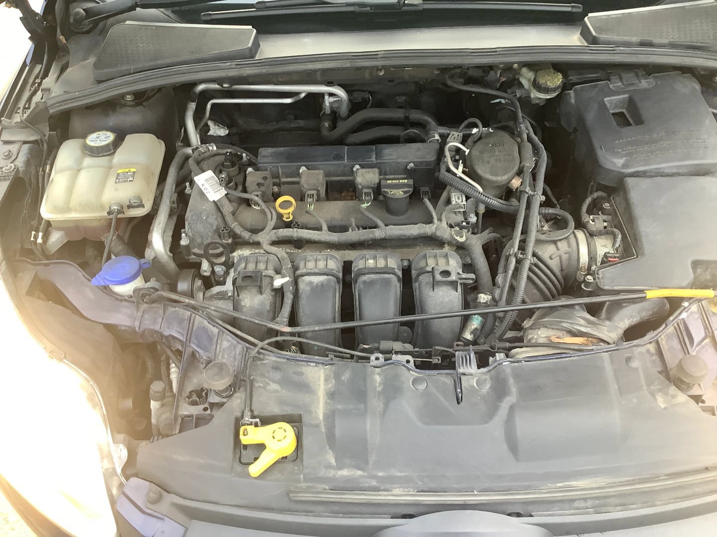 Used 2012 Ford Focus SE FWD image 26