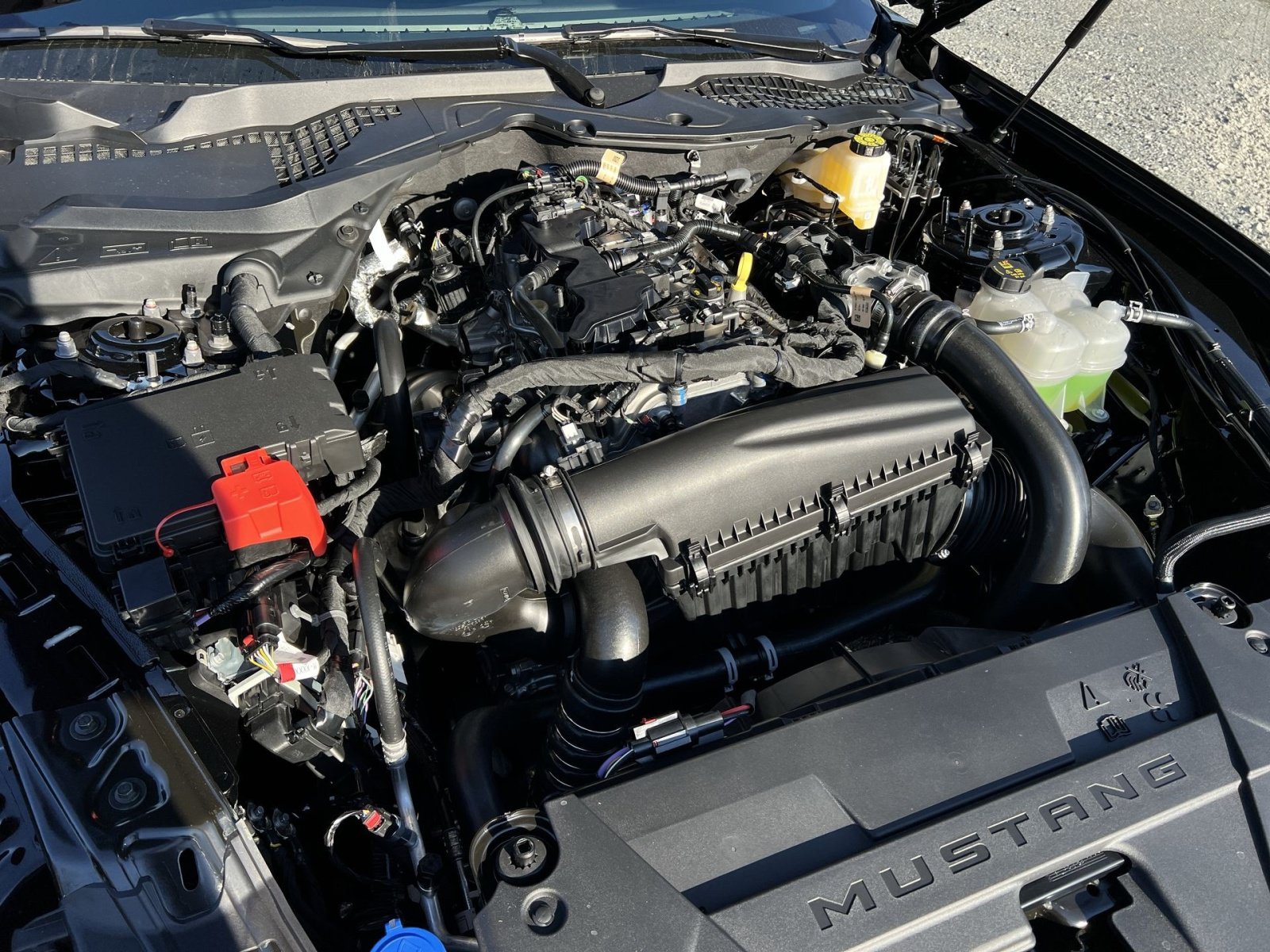 New 2026 Ford Mustang Coupe RWD image 25