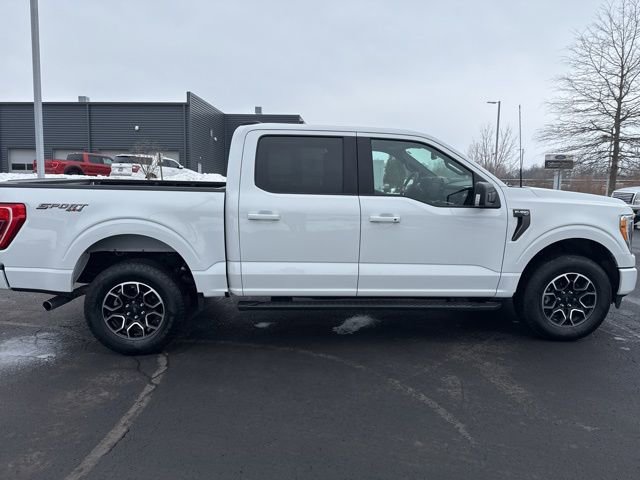 Used 2023 Ford F150 XLT w/ Equipment Group 302A High image 9