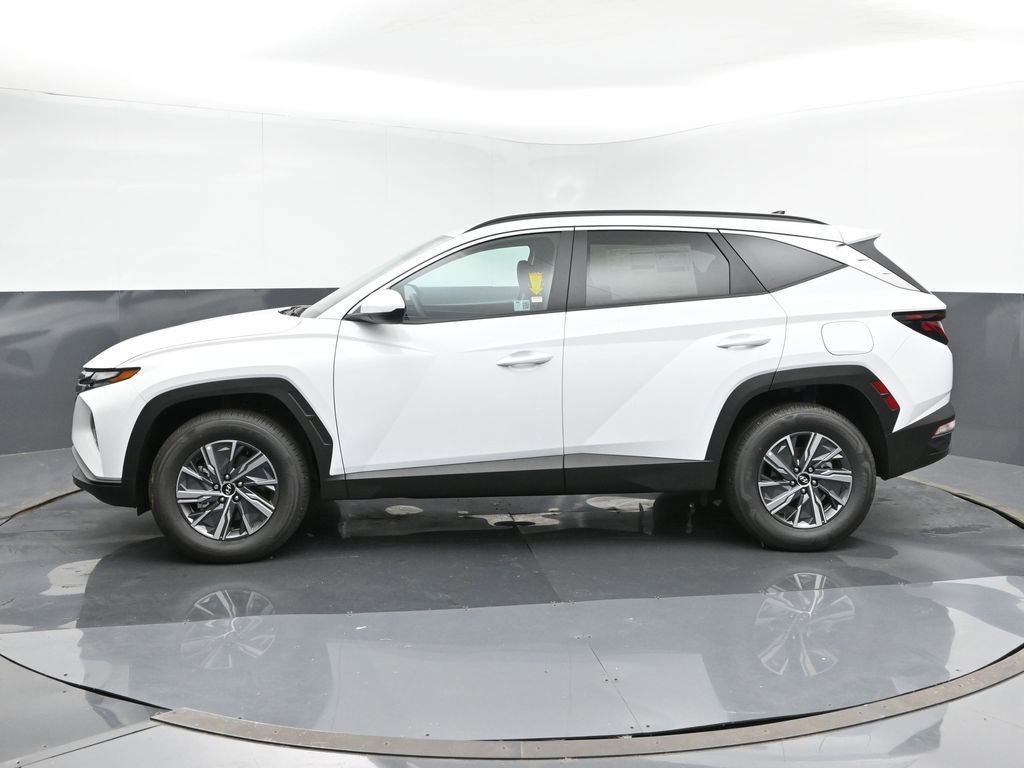 Used 2024 Hyundai Tucson Blue image 2