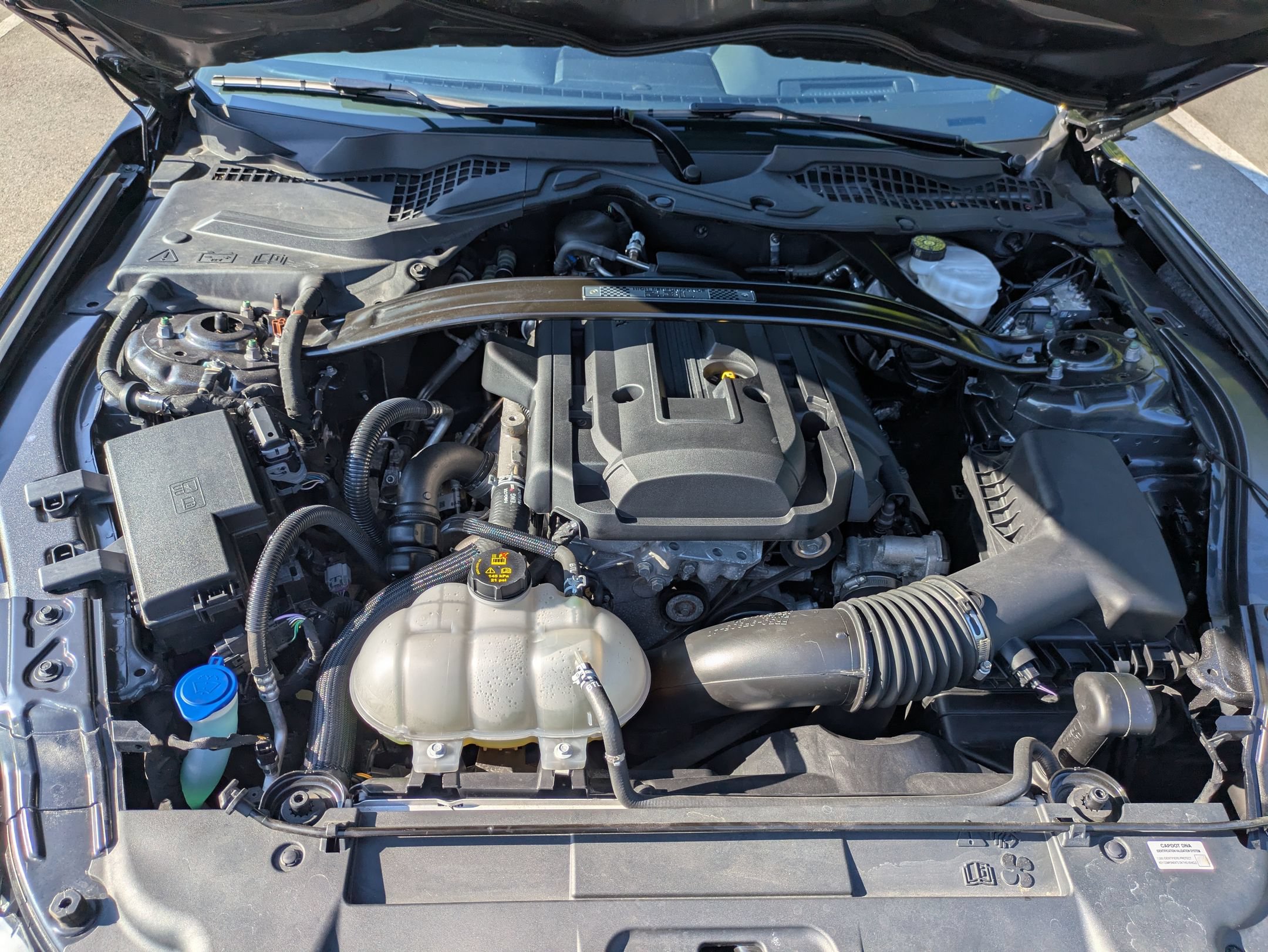 Certified 2020 Ford Mustang Premium w/ 2.3L High Performance Package RWD image 33