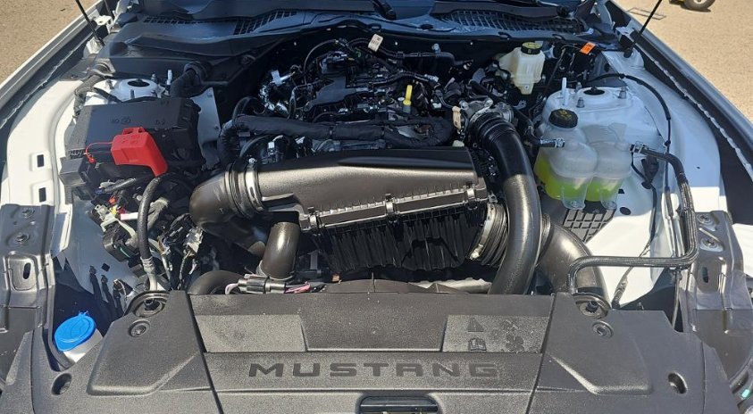 Used 2025 Ford Mustang Premium image 16