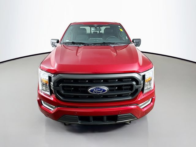 Used 2021 Ford F150 XLT w/ Equipment Group 302A High AWD/4WD image 2