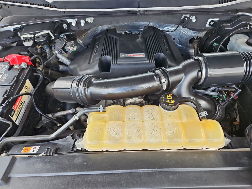 Used 2017 Ford F150 Raptor AWD/4WD image 22