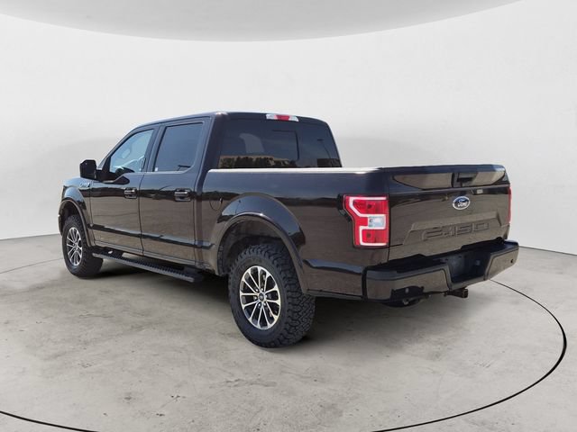 Used 2019 Ford F150 XLT w/ Equipment Group 302A Luxury AWD/4WD image 3