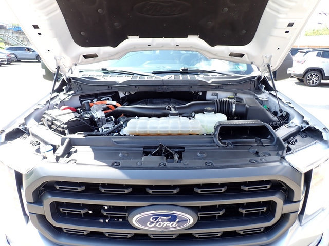 Used 2022 Ford F150 XLT w/ Equipment Group 302A High AWD/4WD image 15