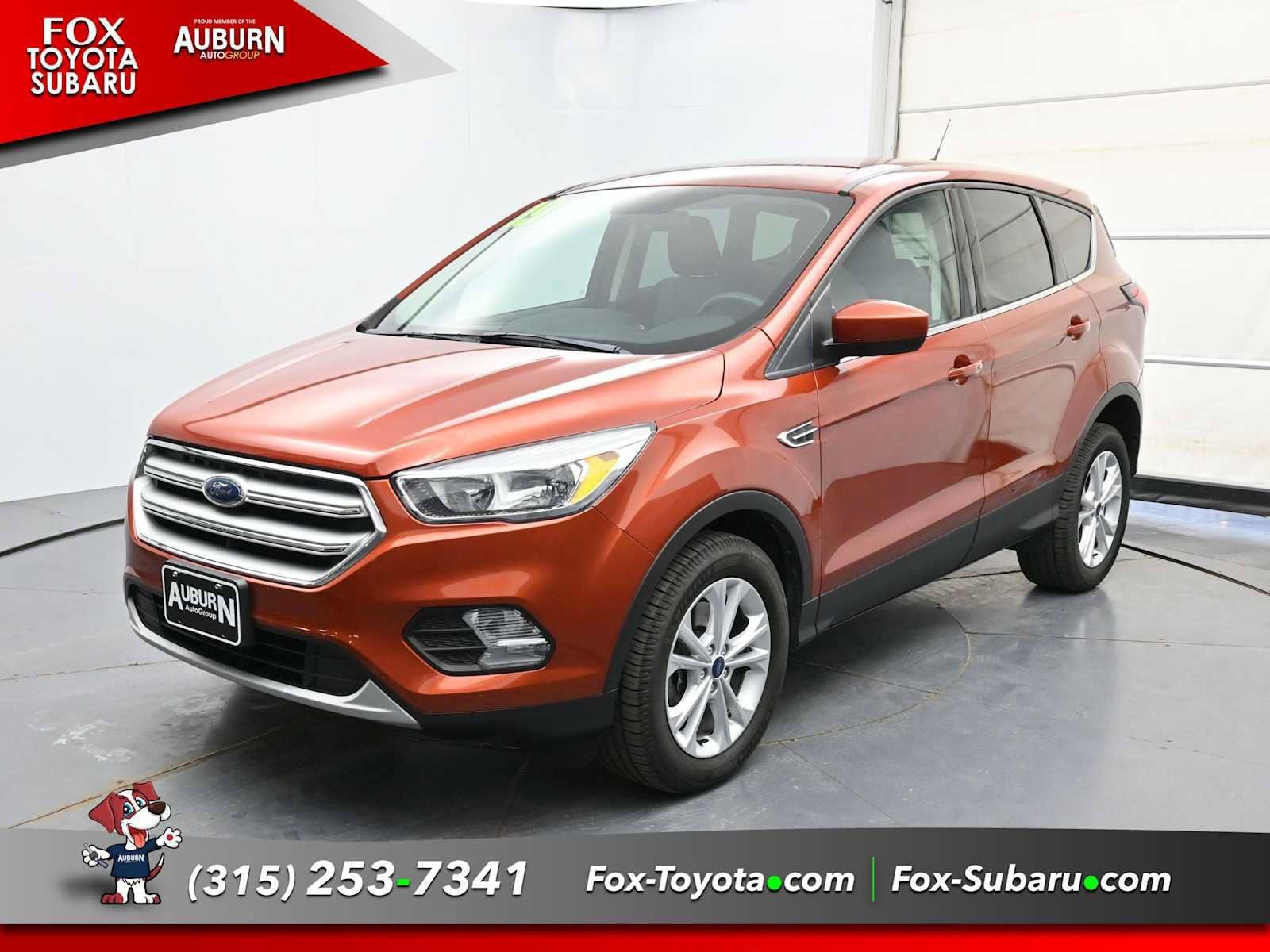 Used 2019 Ford Escape SE AWD/4WD image 2