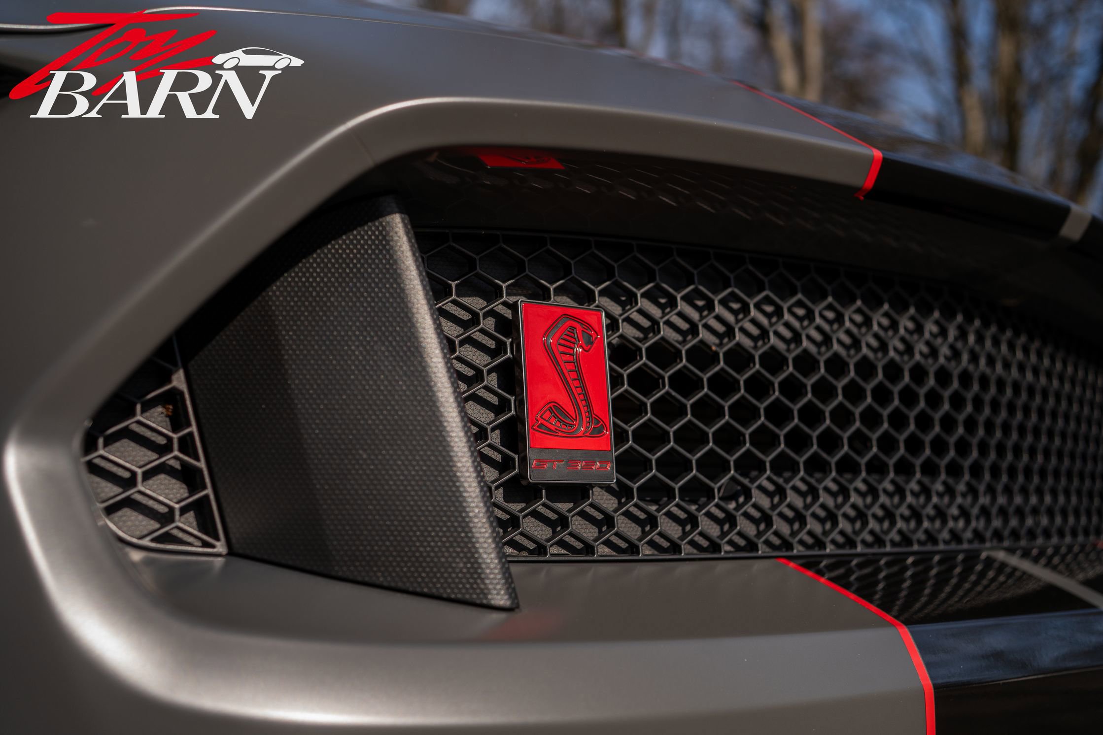 Used 2018 Ford Mustang Shelby GT350R w/ GT350R Equipment Group 920A image 4