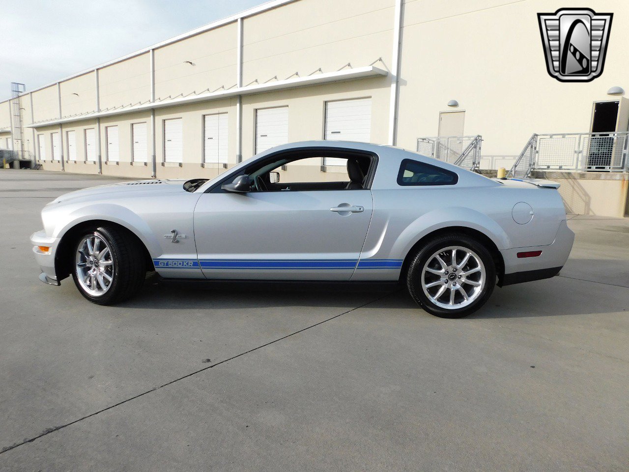 Used 2008 Ford Mustang Shelby GT500 image 5