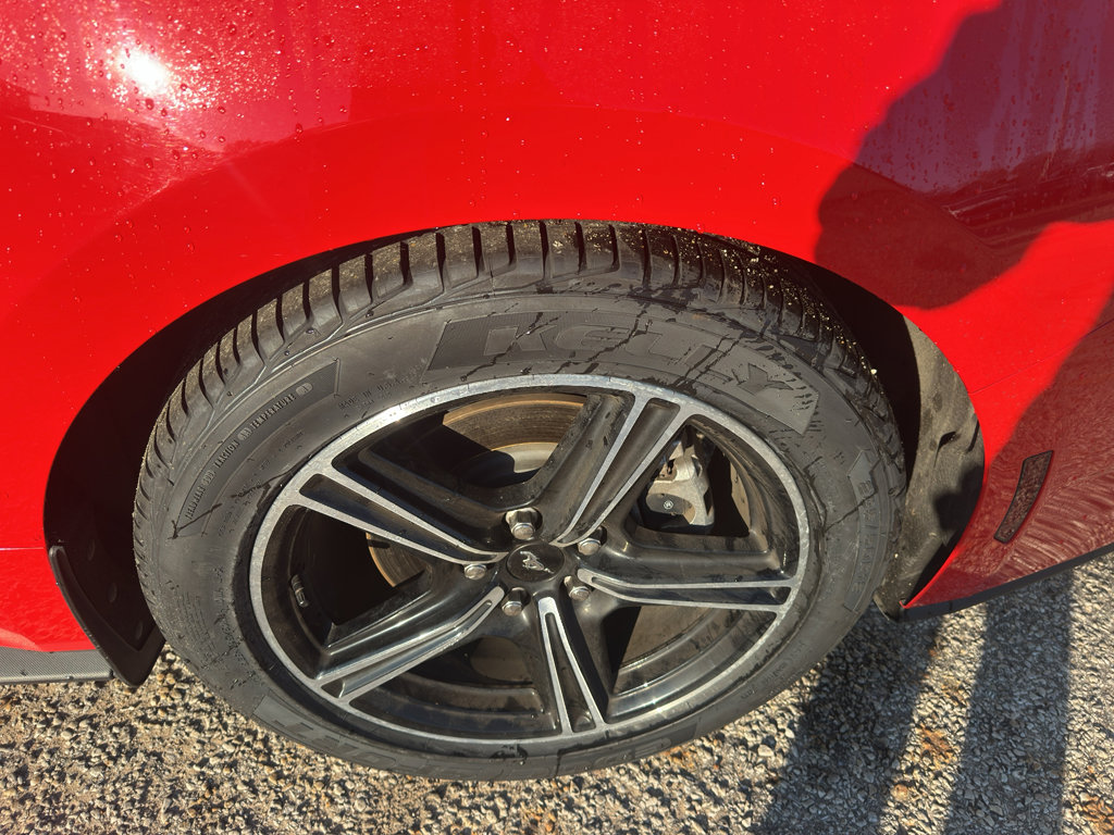 Used 2024 Ford Mustang EcoBoost image 19