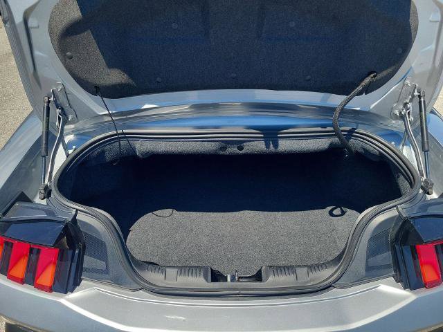 Certified 2024 Ford Mustang Premium RWD image 14