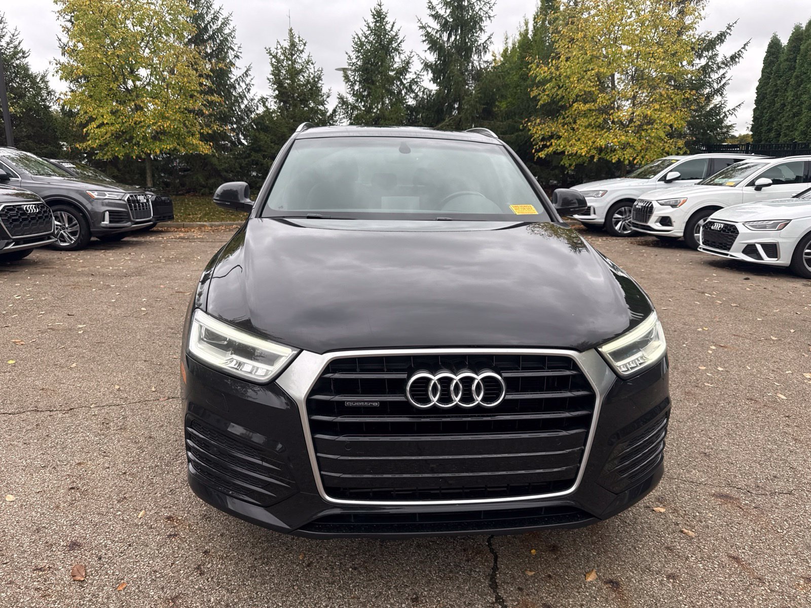 Used 2016 Audi Q3 2.0T Prestige w/ Prestige Package AWD/4WD image 8