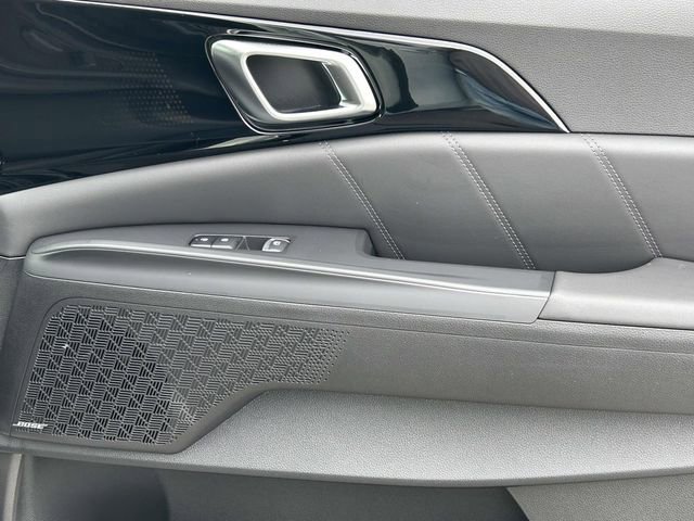 New 2026 Kia Carnival SX Prestige image 17