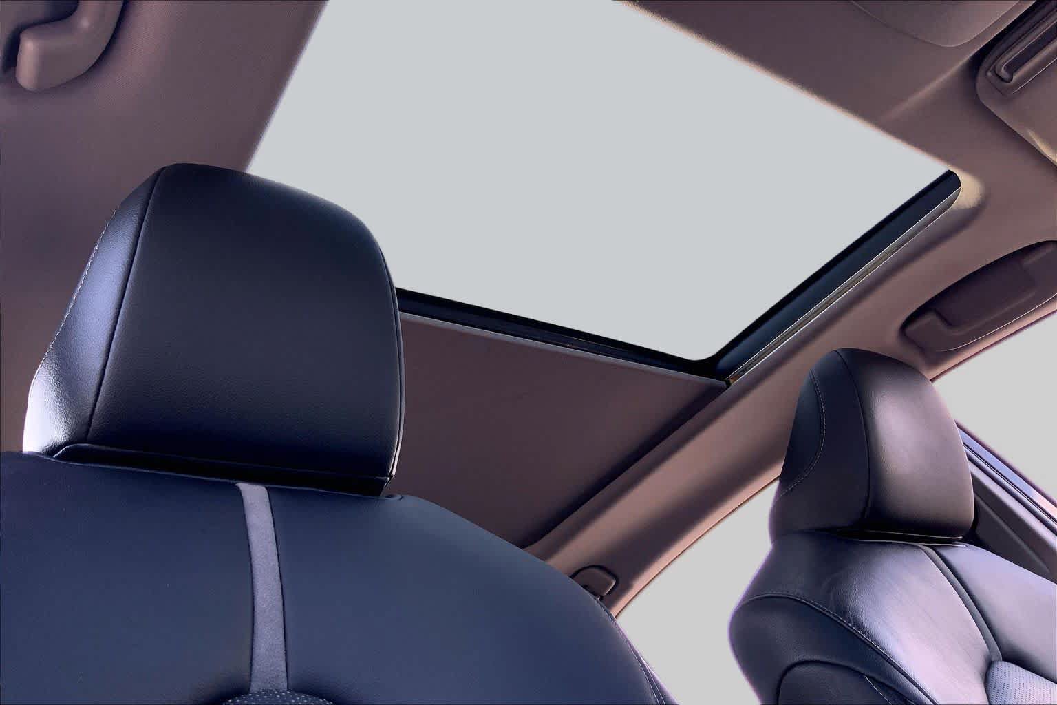 Used 2019 Toyota Camry XSE FWD image 14