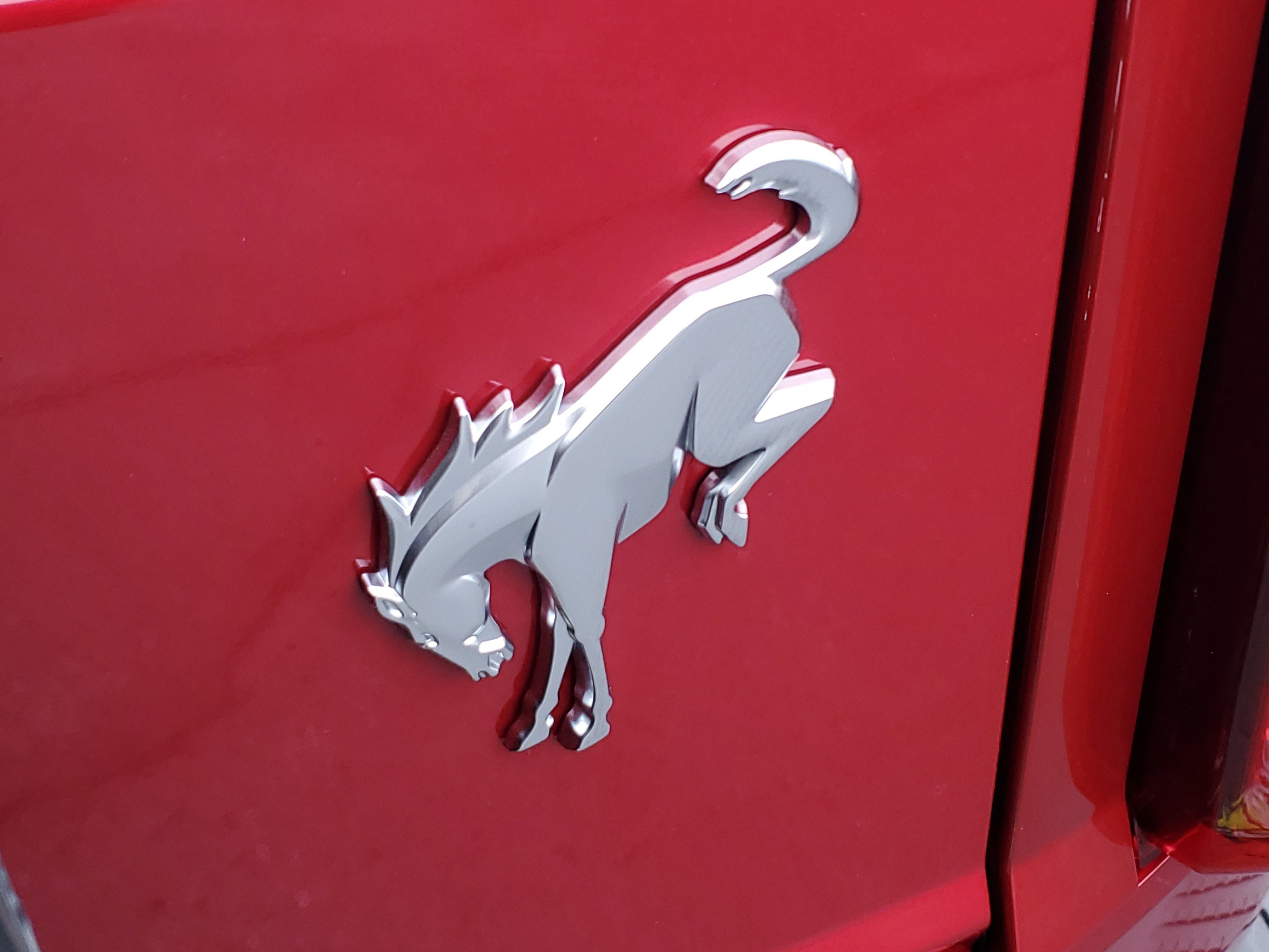 New 2025 Ford Bronco Heritage Edition image 6