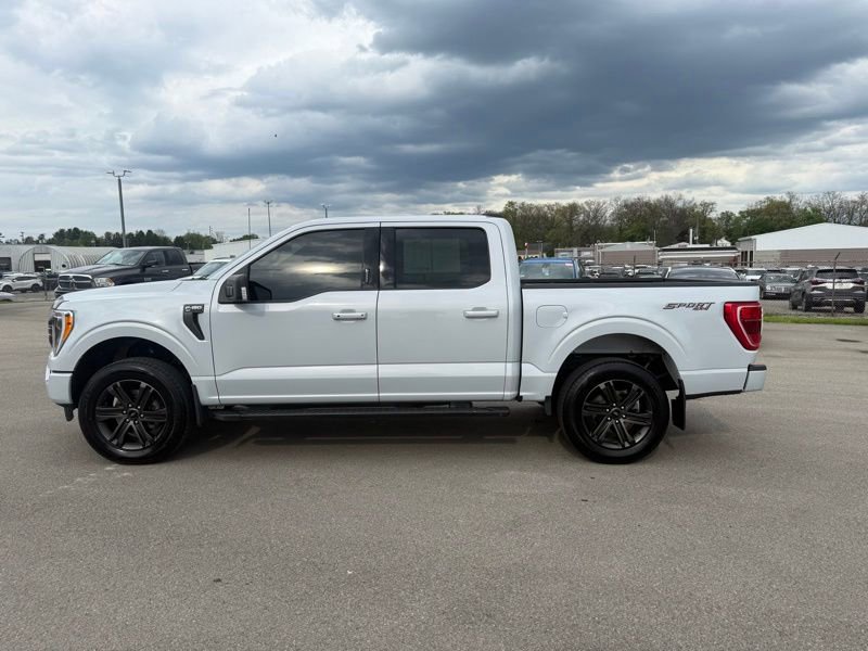 Used 2021 Ford F150 XLT w/ Equipment Group 302A High AWD/4WD image 7