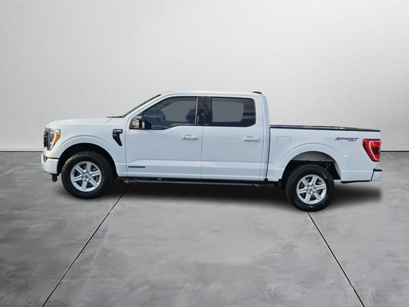 Used 2023 Ford F150 XLT w/ Equipment Group 302A High image 3