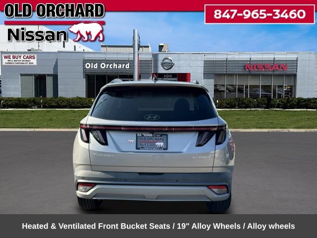 Used 2025 Hyundai Tucson Limited AWD/4WD image 7
